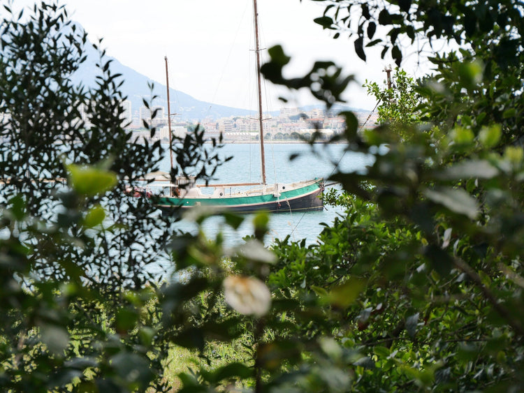 location la seyne sur mer